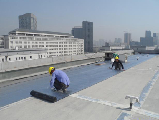 100014083426_14093657914056.jpg 100014083426_14093657914056.jpg